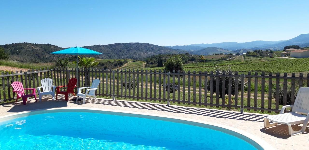 Gites "Entre Les Vignes" Tourreilles 外观 照片