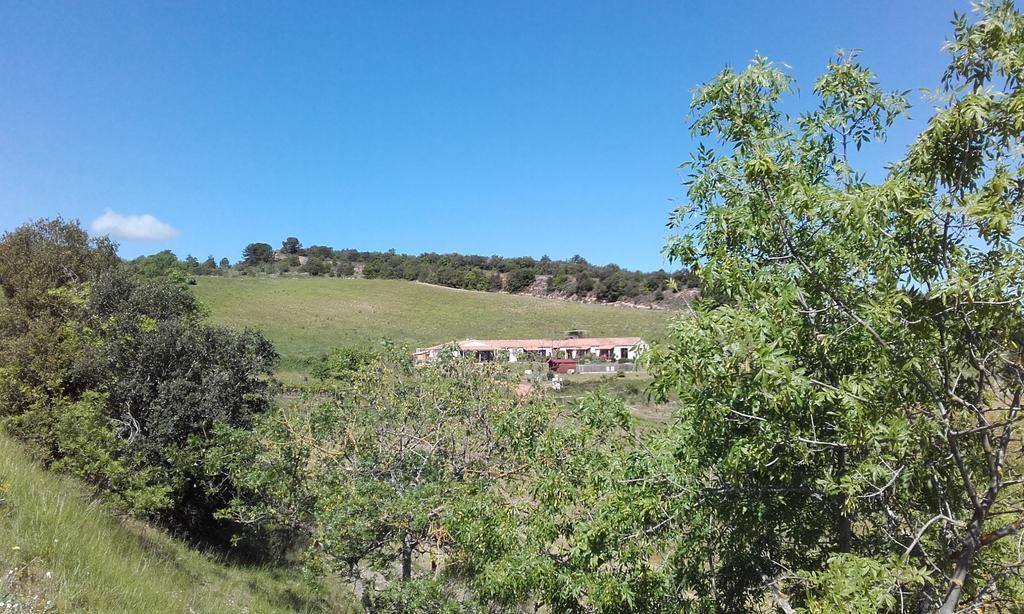 Gites "Entre Les Vignes" Tourreilles 外观 照片