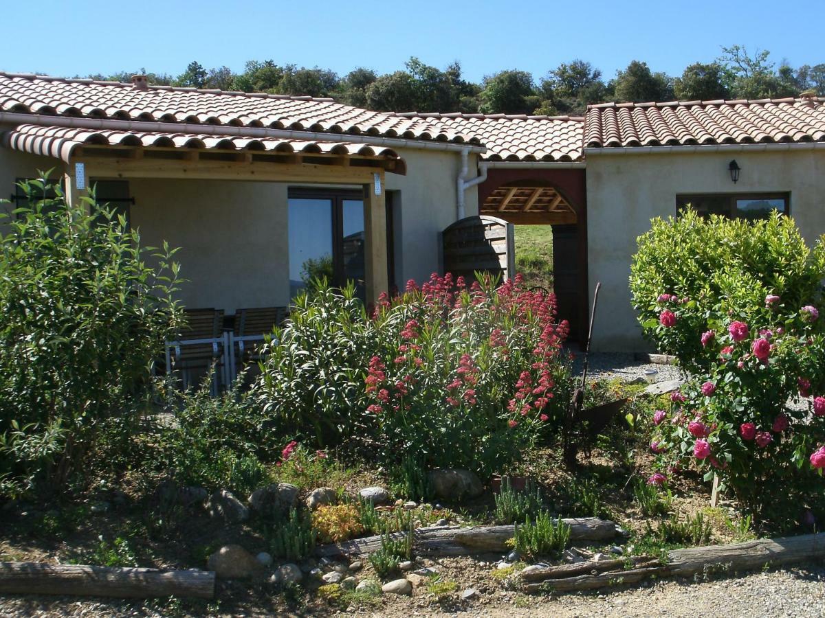 Gites "Entre Les Vignes" Tourreilles 外观 照片